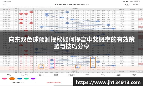 向东双色球预测揭秘如何提高中奖概率的有效策略与技巧分享